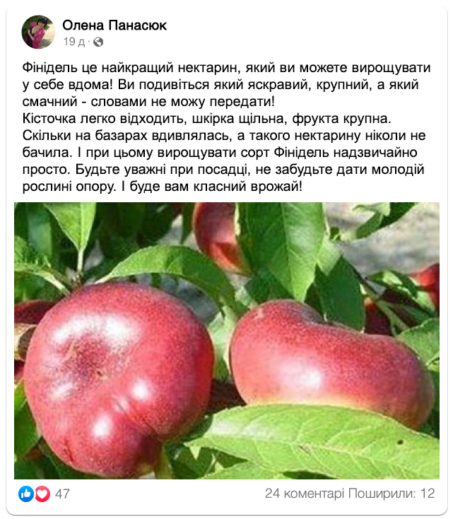 Заголовок